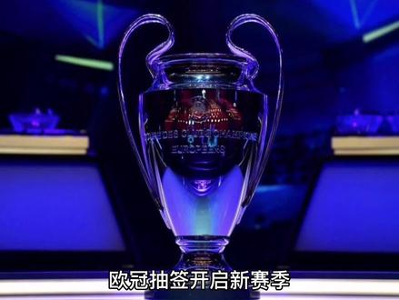 辉煌的职业